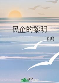 民企的黎明