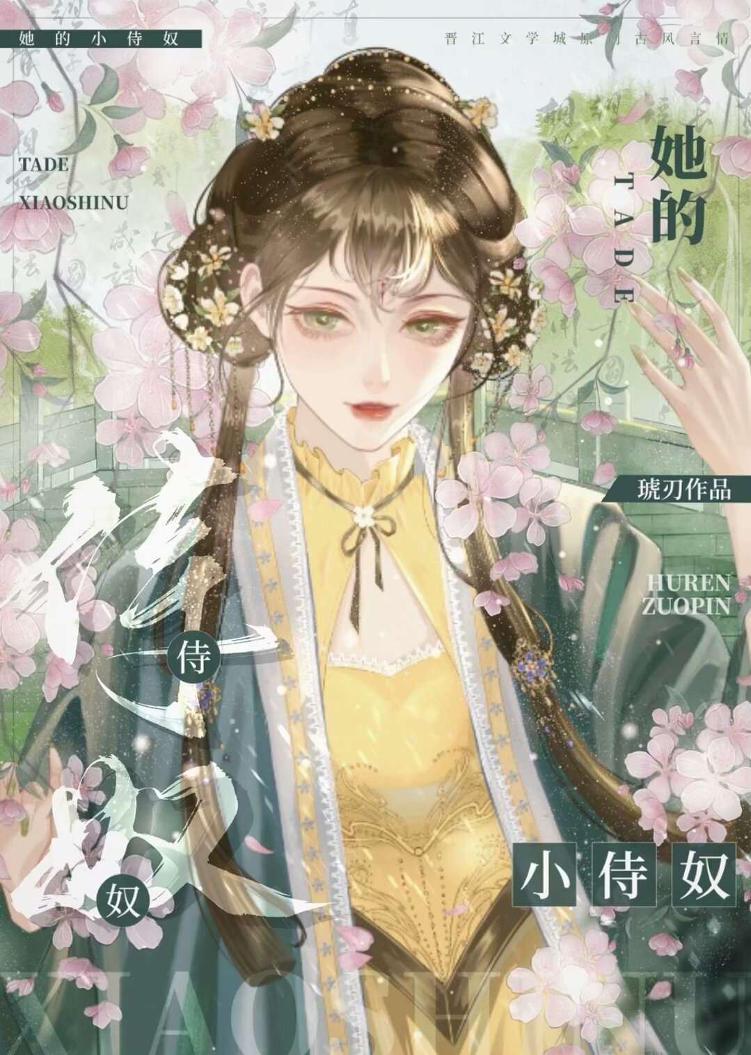她的小侍奴(女尊)